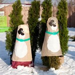 для растений