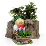 кашпо для растений