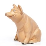 Поросенок U08337