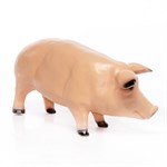 Поросенок для дачи Поросенок для дачи