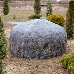 Валун моераки