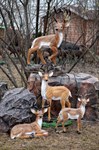 Фигуры для парка Олени