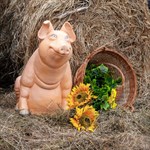 Поросенок  U08337