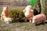 Фигуры детские Поросята