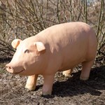 Фигура для сада свинка U083583