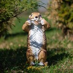 Бурундук F08218