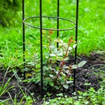 Пергола для растений