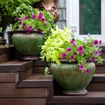 Пластиковые вазоны Пластиковые вазоны