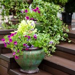 Большой горшок Большой горшок