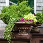 Уличное кашпо US07928