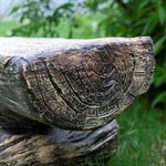 Дачная скамейка 