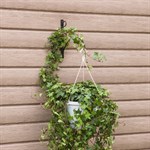 Настенный кронштейн для цветов