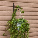 Настенный держатель для цветов