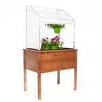 Грядки с тепличкой