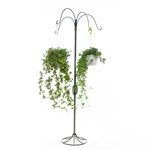 Вертикальное озеленение 