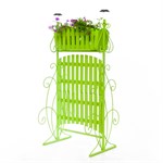 Цветочница садовая 