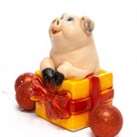 Копилка Год Свиньи 