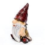 Гном садовый 