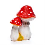 Гриб садовый 