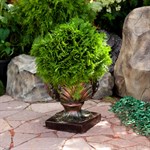 Вазон уличный для цветов US07926 стеклопластик под бронзу US07926 - фото 48955