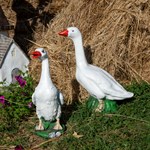 Садовая фигура