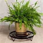 Кованая подставка для цветов