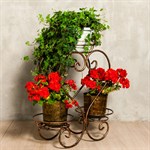 Цветочница кованая Цветочница кованая