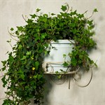 Кованая цветочница