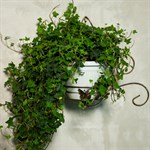 Для цветка подставка настенная 15-061 - фото 49912