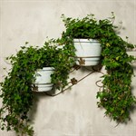 Кованая подставка для цветов