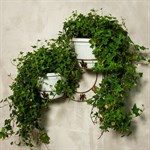 Настенная подставка для цветов