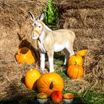 Садовая фигура ишак F01048 - фото 50040