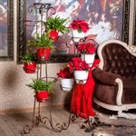 Кованая подставка для цветов Кованая подставка для цветов