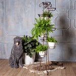 Цветочница кованая 19-209 Цветочница кованая 19-209