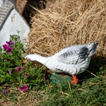 Фигура для сада