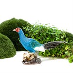 Фигура Фазан