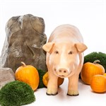 Свинья U08358 U08358 - фото 51318