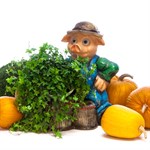 Кашпо Поросенок с корзинкой F08494 - фото 51421