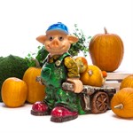 Кашпо Поросенок с тележкой F08495 - фото 51431