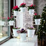 Подставка для цветов кованая