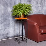 Цветочница напольная