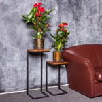 Цветочница напольная