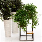 Цветочница кованая