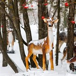 Фигура для сада Фигура для сада
