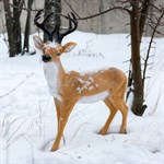 Фигура Олень для сада