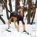 Садовая фигура Олень