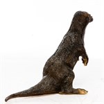 Фигура Выдра