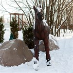 Садово-парковая фигура Лошадь