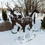 Садовые фигуры