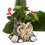 Декоративное кашпо для цветов